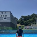 스타독스 이미지