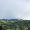 별담달담 네이버블로그