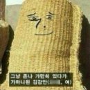 소소(SOSO)