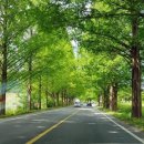 (주)메타랜드 이미지