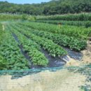 행정 다기능회관 이미지