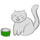 쁘띠펫 이미지