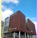 구미 탈모성지 이젠 대구까지 갈 필요 없다! 모발이식의 모든 것