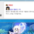 피어라헤어 이미지