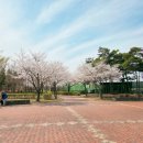 율하체육공원 잔디광장 이미지