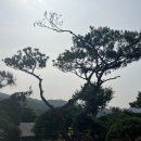 (주) 한울조경 이미지