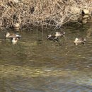 질가마골 이미지