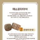 술술풀리는히스토리 이미지