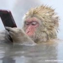 어떤하루 이미지