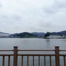 백운호수약국 이미지