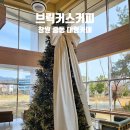 브릭커스 이미지