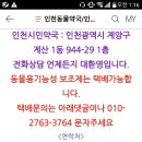 라이펙스 이미지