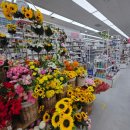 물금역1길 | 양산 대형 다이소 물금역점 주차 위치 영업시간