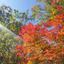 만경대 암각서 | 블랙야크 100대 명산 도전 ; 가평 포천 운악산 만경대 단풍구경 등산후기