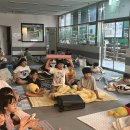 용인대 경연 태권도장 이미지