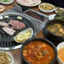 댕댕초댕학교 이미지