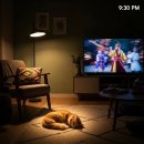 깊은밤 | 설화 무당 신점 후기보다 깊은, 운명전쟁 같은 우리 집 밤