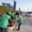 꽃내음가득 이미지