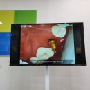 신 사랑치과의원 이미지