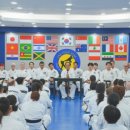 글로벌태권도장 이미지