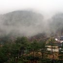산청명상, 참된명상 이미지