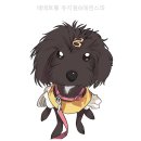 베베애견유치원 | 베베호텔 유치원&amp;애견스파 직접 문의해보니 더 좋았던 점