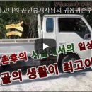 꿀벌아 고마워 공인중개사사무소 이미지