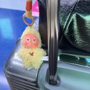 세븐일레븐 센트럴점 | 홍콩시티아캔스탑더흔드러바 ep.1