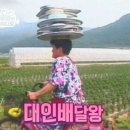 배달의 왕 이미지