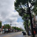 란노래연습장 이미지