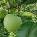 탑산약수온천 이미지