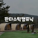 달월 낚시터 | [경기/시흥] 다인원 대가족 가능한 애견동반 판타스틱 캠프닉