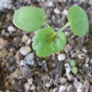 스플래쉬 이미지