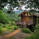 하이동농장 | 향초목원 한국의 우붓 같은 산속산장 예약방법 23년 11월 이후 예약가능