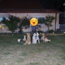 의성동물병원 이미지