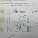 2권 | 21장 뉴런 | 105pg | 축삭둔덕, 수용기 전위, 빈도수 이미지