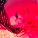 김종욱한의원 이미지