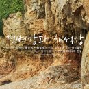 채석강후박나무