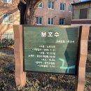 느티나무공원 이미지