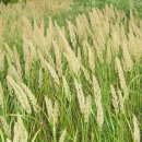 산성목장1 이미지