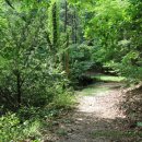 불암산로 이미지