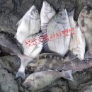 갯바위낚시 네이버블로그