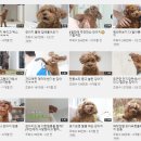 썸네일 - 사상구 | 썸네일