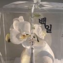 우잉케이크 이미지