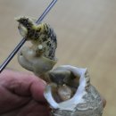 일등수산 이미지