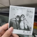 논현고래약국 | 게으른 사람의 허겁지겁 9월 일기