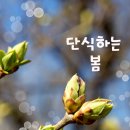 단식 3일 해피손과 함께하는 슬기로운 건강생활 3기 후기