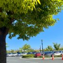 바른치킨장유점 | 김해 롯데워터파크 주말 할인 가격, 매직패스, 하이시즌 오픈런 주차장