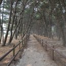 동서트레일 1구간 안면해변-백사장항 : 아름다운 대하랑꽃게랑 인도교, 백사장항 바다에 반짝이는 윤슬 풍경 이미지