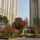 테크노조은공인중개사사무소 이미지